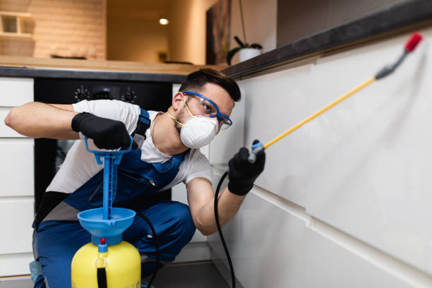 Best Rat Extermination Near Me  in Center Moriches, NY