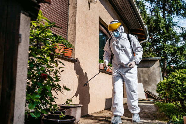 Best Wildlife Control Services  in Center Moriches, NY