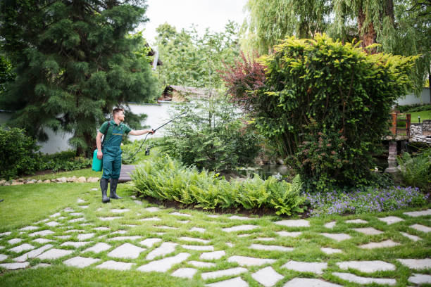 Trusted Center Moriches, NY Pest Control Experts