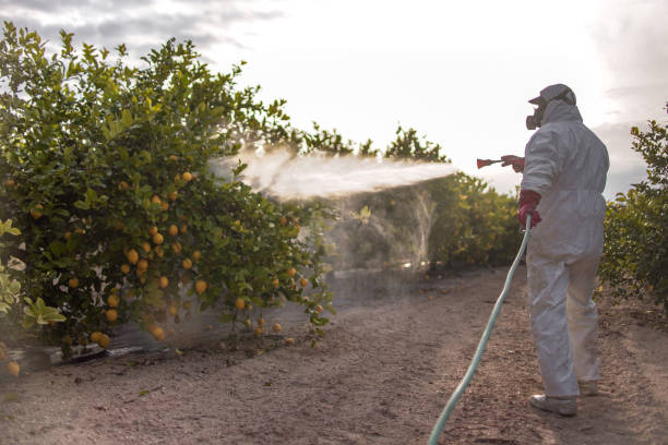 Best Best Pest Control Companies  in Center Moriches, NY