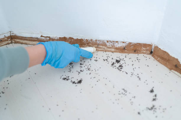 Best Pest Removal Services  in Center Moriches, NY